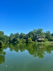 lake in the park