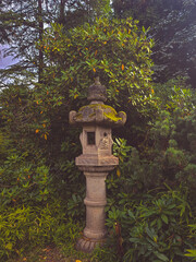 japanese garden in the morning