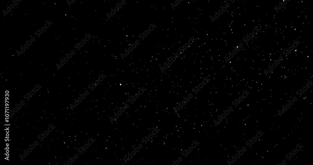Wall mural natural organic dust particles floating on black background. dynamic dust particles randomly float i