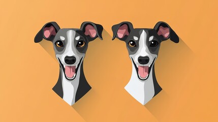 A cheerful Italian Greyhound dog head with half of its body visible, exuding a playful and joyful expression. The sleek, graceful breed is captured in a moment of happiness