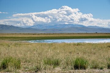 Altai landscape in the Chuya steppe with small lake and mountains