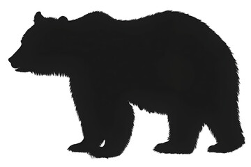Bear silhouette isolated on transparent background

