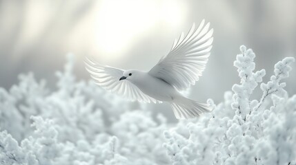 Fototapeta premium White Dove in Winter Wonderland