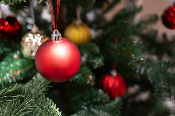 Christmas red ball on fir tree. Christmas and New year eve Background. Close up of balls on Christmas tree. New Year concept.