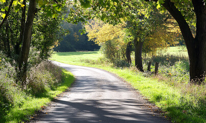 Fototapeta premium path in the forest-generative ai