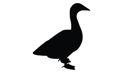 Swan Silhouette And Vector Illustration. 