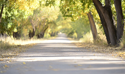 Obraz premium road in the forest-generative ai