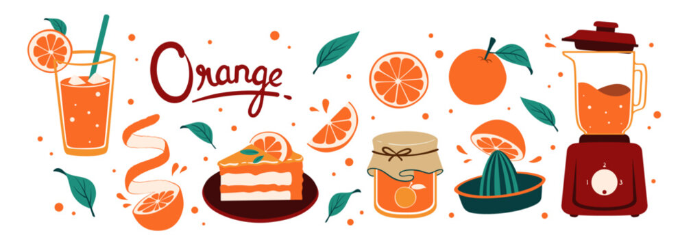 Orange set vector illustration