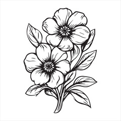 Flowers drawing vector design 
