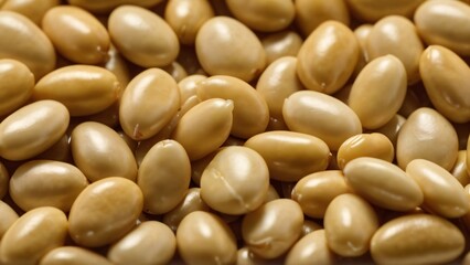 close up of a pile of beans