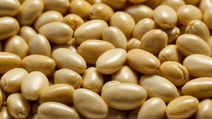 close up of a pile of beans