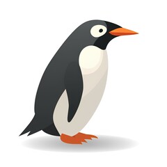 Fototapeta premium penguin on white background
