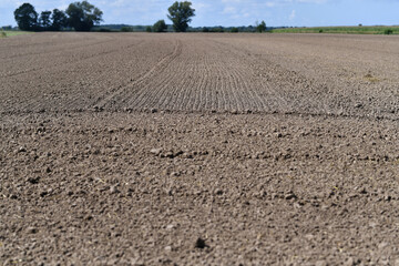 Fertilizer soil for growing plants. Accelerates plant growth. Land for plant background. Clean soil...