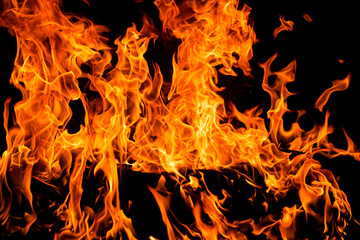 Fire and flames for background. Bright flames background. Texture of fire on a black background. Burning red fire. Large fire in the night.