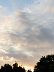 秋の日の朝焼けと青空に薄雲38