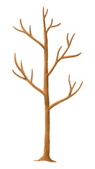 Autumn leafless tree png sticker, seasonal botanical illustration, transparent background