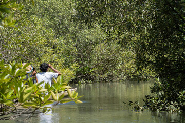 An asian fishermen guide tourist through the mangrove forest using a traditional wooden boat