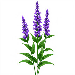 A vibrant illustration of purple flowers with green leaves, showcasing nature's beauty and elegance.