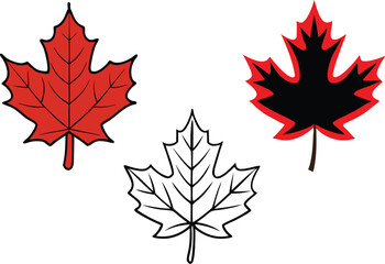 Set of maple leaves icons isolated on white background. Bright autumn red maple leaf, black silhouette and outline. Vector illustration.