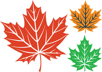 Set of maple leaves icons isolated on white background. Bright autumn red maple leaf, black silhouette and outline. Vector illustration.