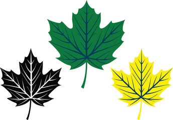 Set of maple leaves icons isolated on white background. Bright autumn red maple leaf, black silhouette and outline. Vector illustration.