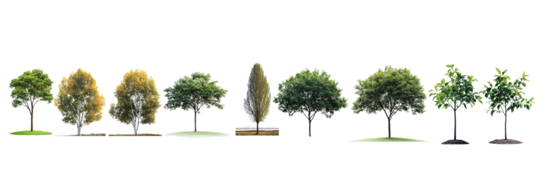 collection of various tree types showcasing different shapes, sizes, and colors, perfect for landscaping or nature themed projects.  ,PNG Transparency