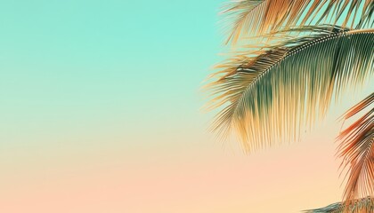 Palm Frond Silhouetted Against a Pastel Gradient Sky