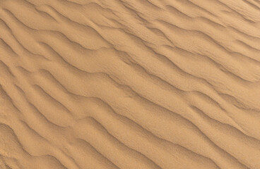 A close-up shot of the textured layers of sand in a desert dune, showcasing the natural patterns formed by wind erosion. Ideal for use as a background, with subtle gradients and soft tones of sand.