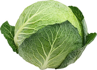 Obraz premium Green cabbage on transparent background. PNG