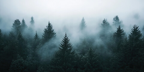 Obraz premium Aerial drone forest survey photograph, top down bird's eye view, woodland trees background, surveying landscape trees