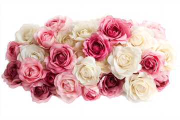 Naklejka premium Pink and white roses isolated on white background