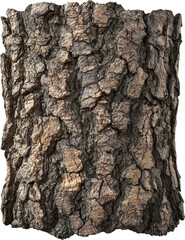 Fototapeta premium Close-up of tree bark