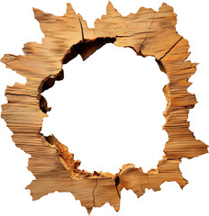 Tree trunk with hole