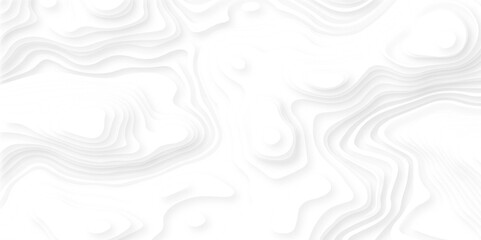 Abstract paper cut white background. Topographic canyon map light relief texture, Abstract wavy line 3d paper cut white background.