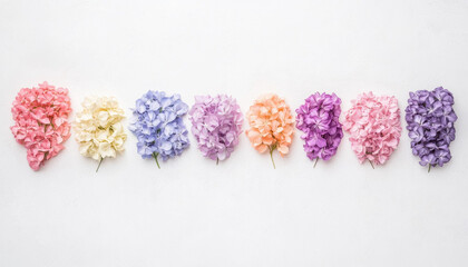 A vibrant arrangement of colorful flowers in shades of pink, purple, and yellow, beautifully displayed against a light background.