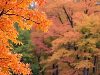 Vibrant golden leaves on a tree during autumn season in the forest, colorful, vibrant, Autumn