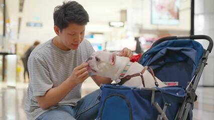 Asian man give dog treat to french bulldog in pet stroller during shopping at pets friendly shopping mall. Domestic dog and human owner enjoy outdoor lifestyle travel in the city on summer vacation.
