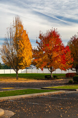 Beautiful fall autumn scenery with blue sky nice feathered clouds, yellow orange red trees captured from an empty parking lot. High quality picture for download