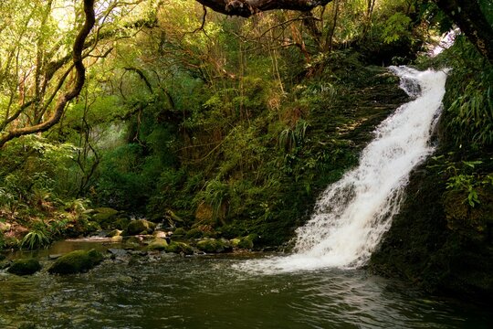 Ross Creek Waterfall at Woodhaugh: Scenic Waterfall in New Zealand