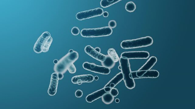 Enterobacteriaceae, gram-negative rod-shaped bacteria, part of intestinal microbiome and causative agents of different infections, 3D rendering. Escherichia coli, Klebsiella, Enterobacter and other
