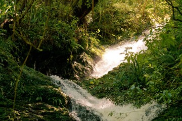 Ross Creek Waterfall at Woodhaugh: Scenic Waterfall in New Zealand
