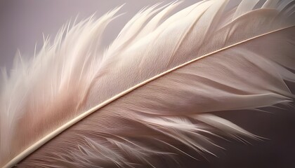 Close-up of feather, soft natural colors, intricate details, 3D illustration.