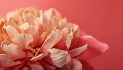 Fototapeta premium Close-up on petals, botanical pattern, soft tones, 3D illustration.