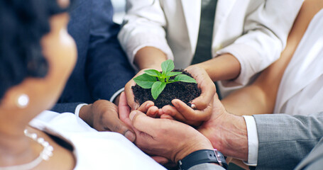 Teamwork, hands and plant with soil, growth and hope for sustainability and future. Business...