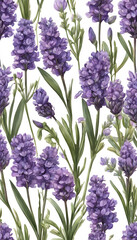 Obraz premium Seamless pattern of lavender flowers with green leaves on a white background.