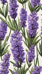 Fototapeta premium Seamless pattern of lavender flowers with green leaves on a white background.