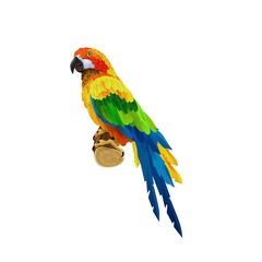Fototapeta premium macaw, parrot, fauna, bird, beautiful birds, wildlife, animal, animal poster, bird feather, wild, exotic, feather, pet poster, wings,