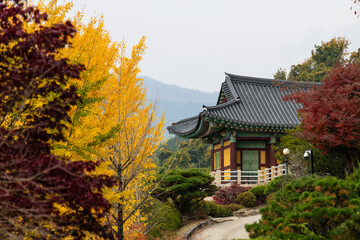 autumn trees and traditional Korean building in the Buddhist temple