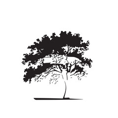 silhouette tree line drawing set, graphics trees elements outline symbol for architecture and landscape design drawing Vector illustration in stroke fill in white