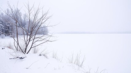 Obraz premium Glistening snow covering a vast winter landscape, nature, barren, peaceful